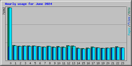 Hourly usage for June 2024